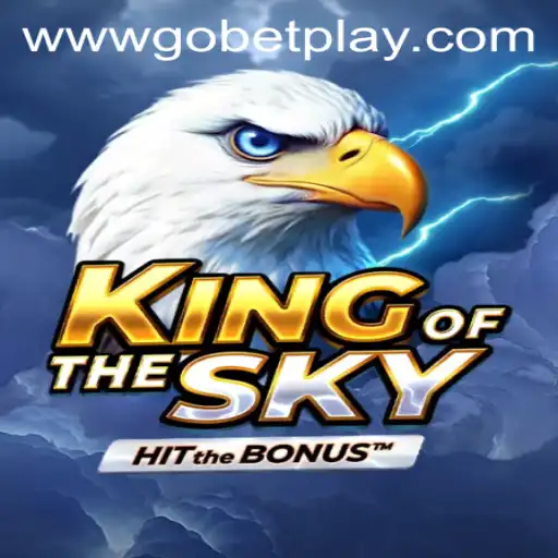 KingOfTheSky: A New Horizon in Gaming